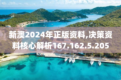 新澳2024年正版資料,決策資料核心解析167.162.5.205