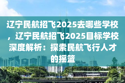 遼寧民航招飛2025去哪些學(xué)校，遼寧民航招飛2025目標(biāo)學(xué)校深度解析：探索民航飛行人才的搖籃