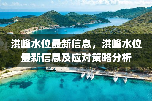 洪峰水位最新信息，洪峰水位最新信息及應(yīng)對策略分析