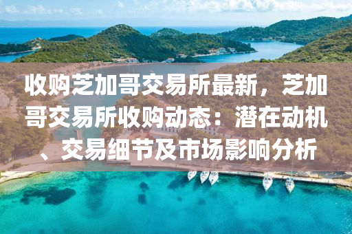 收購芝加哥交易所最新，芝加哥交易所收購動態(tài)：潛在動機、交易細(xì)節(jié)及市場影響分析