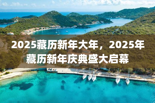 2025藏歷新年大年，2025年藏歷新年慶典盛大啟幕