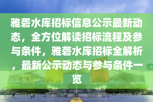 雅礱水庫招標信息公示最新動態(tài)，全方位解讀招標流程及參與條件，雅礱水庫招標全解析，最新公示動態(tài)與參與條件一覽