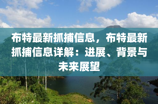 布特最新抓捕信息，布特最新抓捕信息詳解：進展、背景與未來展望