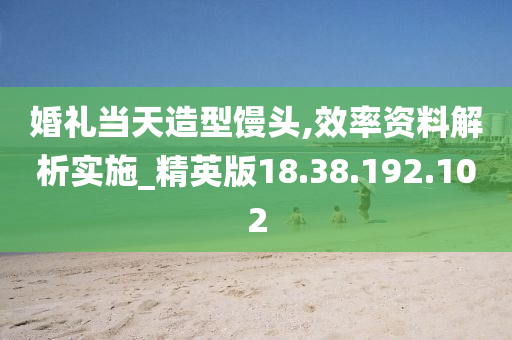 婚禮當(dāng)天造型饅頭,效率資料解析實(shí)施_精英版18.38.192.102