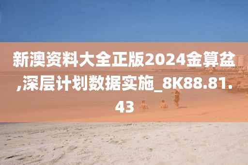 新澳資料大全正版2024金算盆,深層計劃數據實施_8K88.81.43