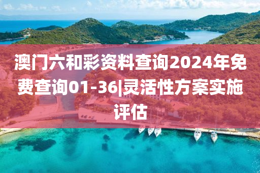 澳門六和彩資料查詢2024年免費(fèi)查詢01-36|靈活性方案實(shí)施評估