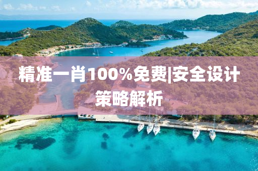 精準(zhǔn)一肖100%免費(fèi)|安全設(shè)計(jì)策略解析