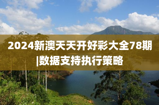 2024新澳天天開(kāi)好彩大全78期|數(shù)據(jù)支持執(zhí)行策略