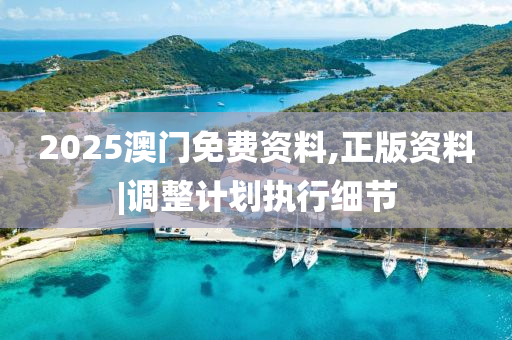 2025澳門免費資料,正版資料|調整計劃執(zhí)行細節(jié)