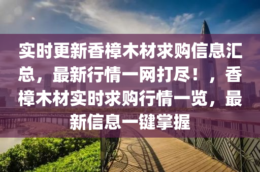 實時更新香樟木材求購信息匯總，最新行情一網打盡！，香樟木材實時求購行情一覽，最新信息一鍵掌握