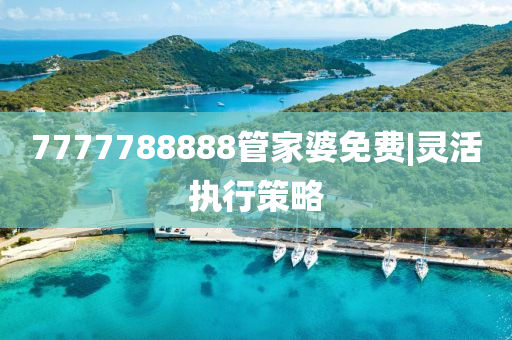 7777788888管家婆免費(fèi)|靈活執(zhí)行策略