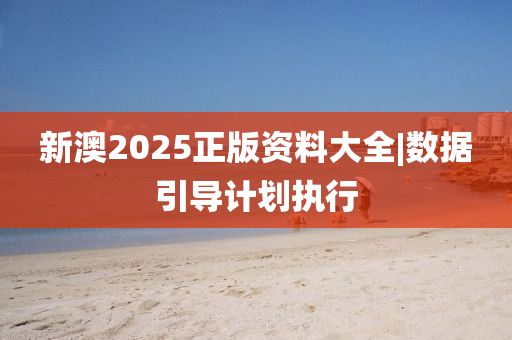 新澳2025正版資料大全|數(shù)據(jù)引導(dǎo)計劃執(zhí)行