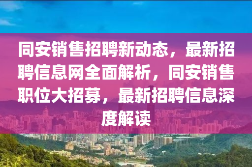 同安銷售招聘新動態(tài)，最新招聘信息網(wǎng)全面解析，同安銷售職位大招募，最新招聘信息深度解讀