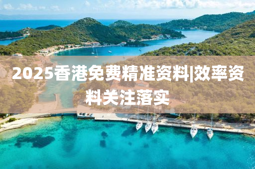 2025香港免費精準資料|效率資料關(guān)注落實