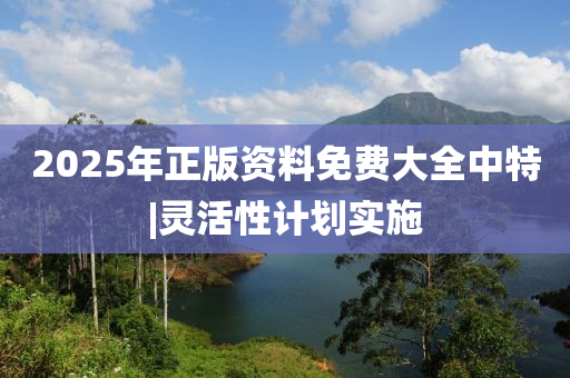 2025年正版資料免費(fèi)大全中特|靈活性計(jì)劃實(shí)施