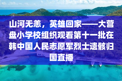 山河無恙，英雄回家——大營盤小學(xué)校組織觀看第十一批在韓中國人民志愿軍烈士遺骸歸國直播