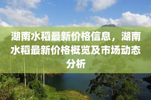 湖南水稻最新價(jià)格信息，湖南水稻最新價(jià)格概覽及市場(chǎng)動(dòng)態(tài)分析