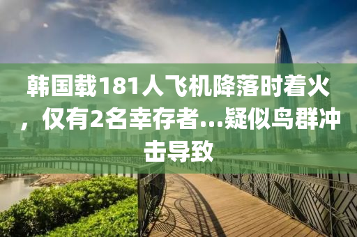 韓國(guó)載181人飛機(jī)降落時(shí)著火，僅有2名幸存者…疑似鳥(niǎo)群沖擊導(dǎo)致