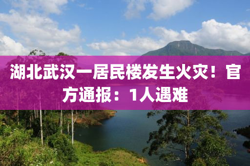 湖北武漢一居民樓發(fā)生火災(zāi)！官方通報(bào)：1人遇難