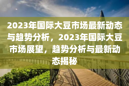 2023年國際大豆市場最新動態(tài)與趨勢分析，2023年國際大豆市場展望，趨勢分析與最新動態(tài)揭秘