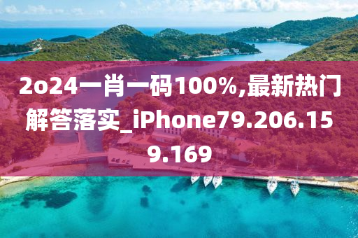 2o24一肖一碼100%,最新熱門解答落實_iPhone79.206.159.169