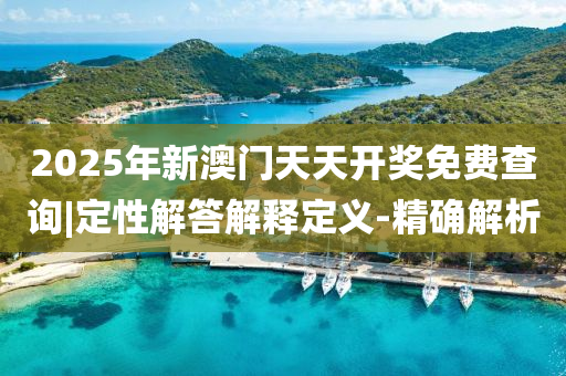 2025年新澳門天天開獎免費(fèi)查詢|定性解答解釋定義-精確解析