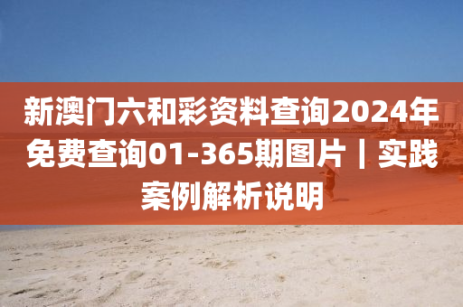 新澳門六和彩資料查詢2024年免費(fèi)查詢01-365期圖片｜實(shí)踐案例解析說明