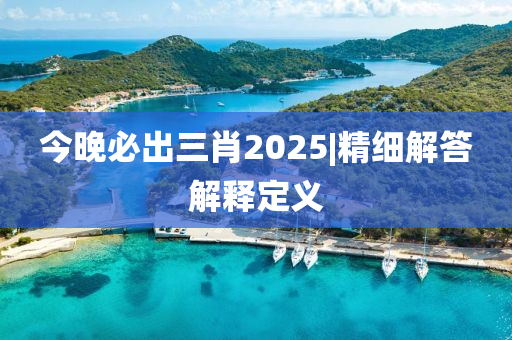 今晚必出三肖2025|精細解答解釋定義