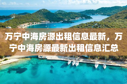 萬(wàn)寧中海房源出租信息最新，萬(wàn)寧中海房源最新出租信息匯總