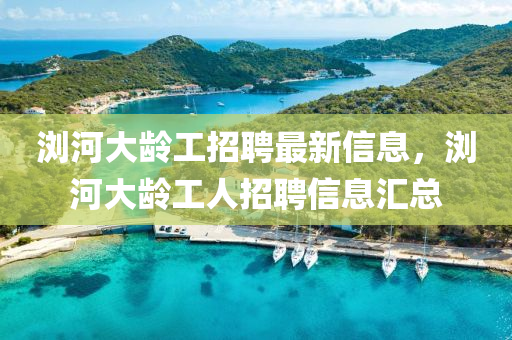 瀏河大齡工招聘最新信息，瀏河大齡工人招聘信息匯總