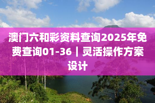 澳門(mén)六和彩資料查詢2025年免費(fèi)查詢01-36｜靈活操作方案設(shè)計(jì)