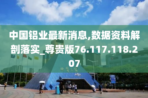 中國鋁業(yè)最新消息,數(shù)據(jù)資料解剖落實(shí)_尊貴版76.117.118.207