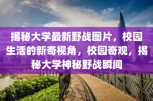 揭秘大學最新野戰(zhàn)圖片，校園生活的新奇視角，校園奇觀，揭秘大學神秘野戰(zhàn)瞬間