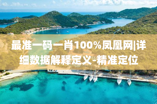 最準一碼一肖100%鳳凰網|詳細數據解釋定義-精準定位