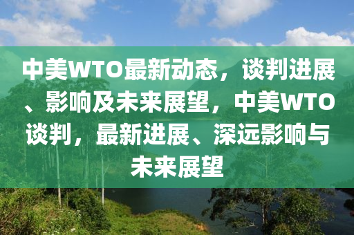 中美WTO最新動態(tài)，談判進展、影響及未來展望，中美WTO談判，最新進展、深遠影響與未來展望