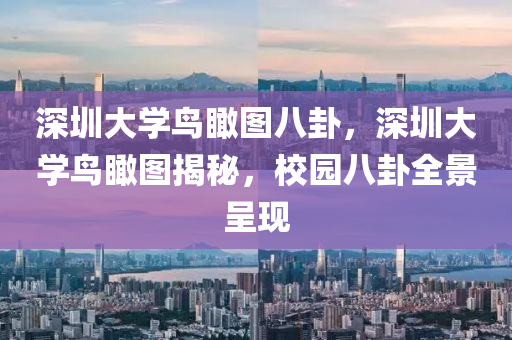 深圳大學鳥瞰圖八卦，深圳大學鳥瞰圖揭秘，校園八卦全景呈現(xiàn)