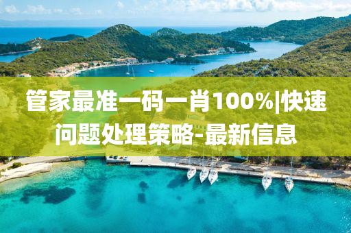 管家最準一碼一肖100%|快速問題處理策略-最新信息