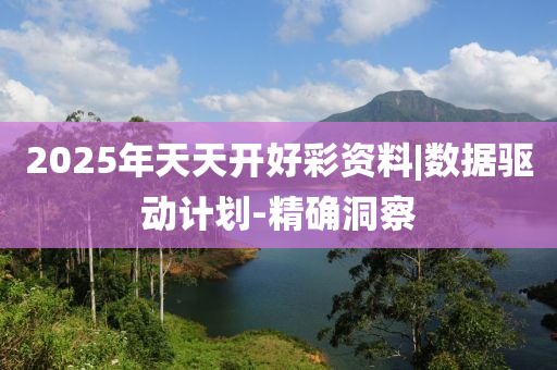 2025年天天開好彩資料|數(shù)據(jù)驅(qū)動(dòng)計(jì)劃-精確洞察