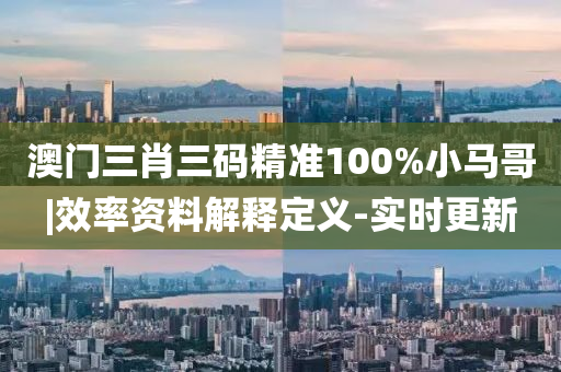 澳門三肖三碼精準100%小馬哥|效率資料解釋定義-實時更新