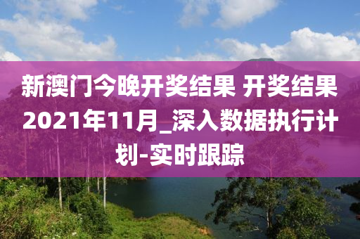 新澳門今晚開獎結果 開獎結果2021年11月_深入數(shù)據執(zhí)行計劃-實時跟蹤