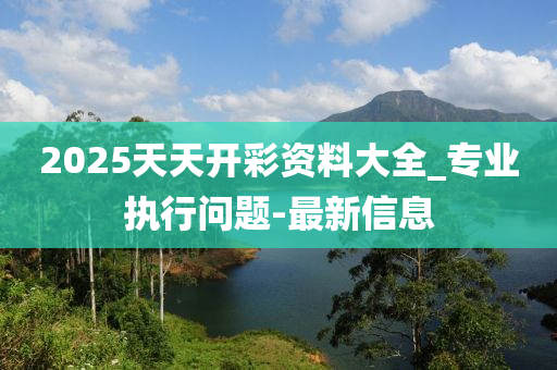 2025天天開彩資料大全_專業(yè)執(zhí)行問題