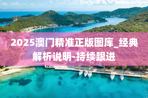 2025澳門精準正版圖庫_經典解析說明-持續(xù)跟進