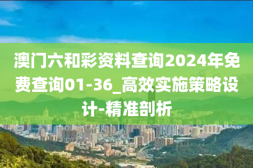 澳門六和彩資料查詢2024年免費查詢01-36_高效實施策略設計-精準剖析