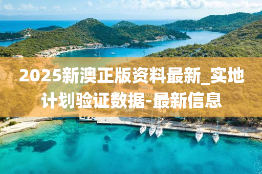 2025新澳正版資料最新_實地計劃驗證數(shù)據(jù)-最新信息