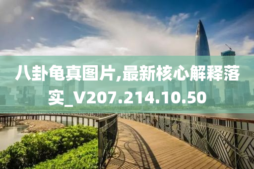 八卦龟真图片,最新核心解释落实_V207.214.10.50