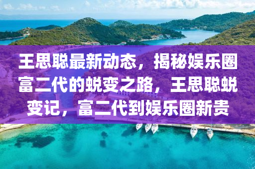 王思聰最新動態(tài)，揭秘娛樂圈富二代的蛻變之路，王思聰蛻變記，富二代到娛樂圈新貴