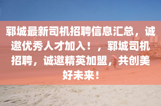 鄆城最新司機招聘信息匯總，誠邀優(yōu)秀人才加入！，鄆城司機招聘，誠邀精英加盟，共創(chuàng)美好未來！