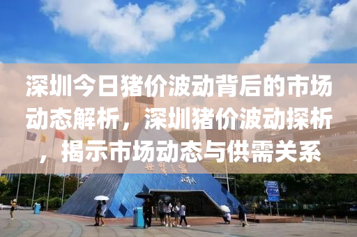 深圳今日猪价波动背后的市场动态解析，深圳猪价波动探析，揭示市场动态与供需关系