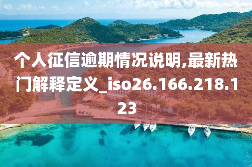 个人征信逾期情况说明,最新热门解释定义_iso26.166.218.123