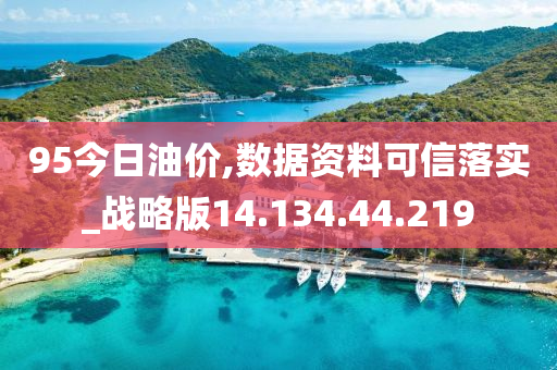 95今日油价,数据资料可信落实_战略版14.134.44.219